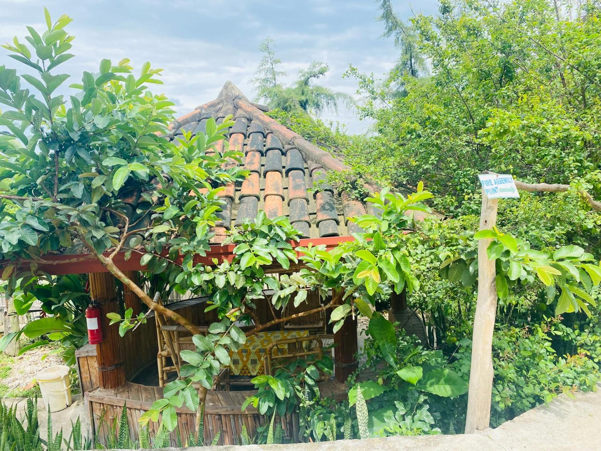 Kivu Macheo Eco-Lodge Kibuye Exterior photo